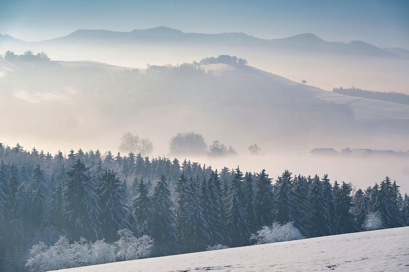 Nature for digital detox